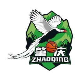 肇庆队首发阵容