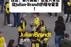 时间不会说谎！多特球迷们给布兰特的暖心留言！